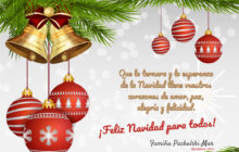 Felices Fiestas !!!