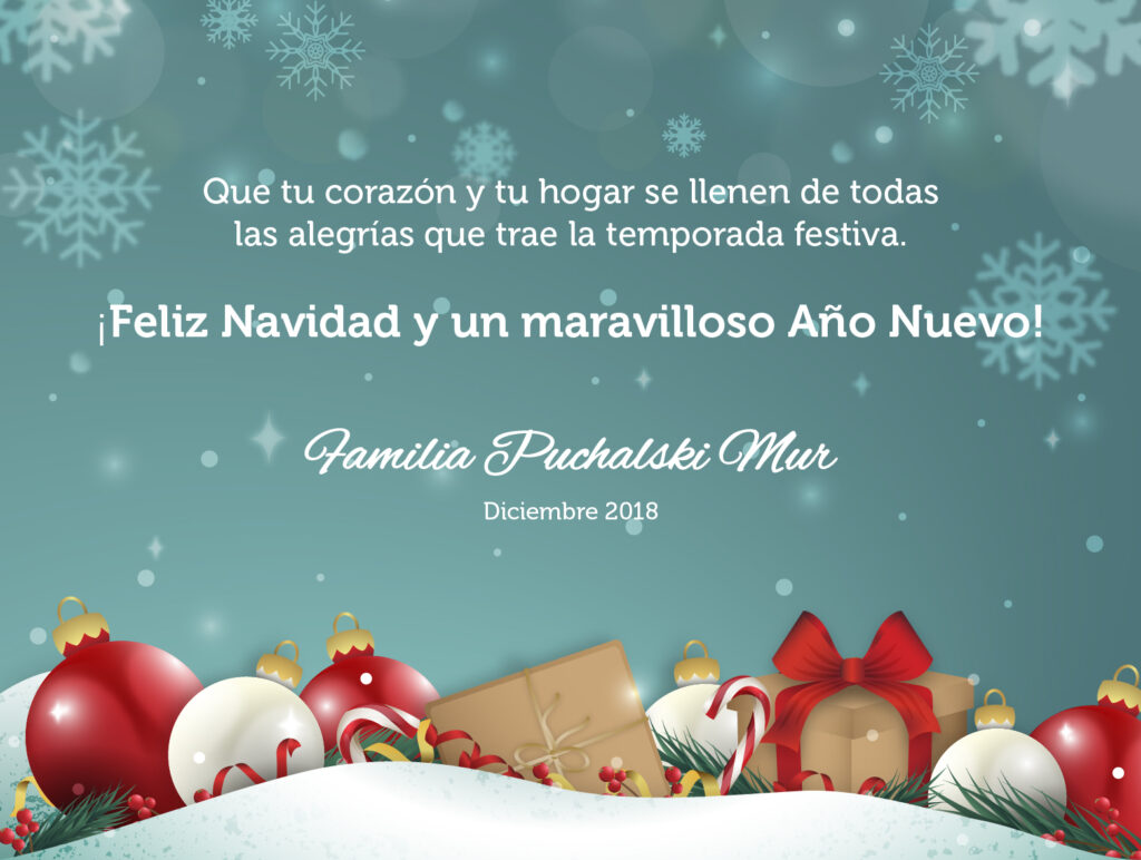 Felices Navidad y un mejor año 2019 !!!