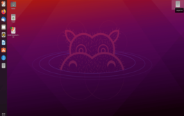 Usar Linux sin instalarlo en el ordenador